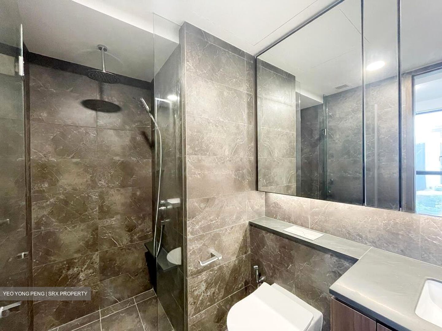 Kopar At Newton (D9), Apartment #553233211